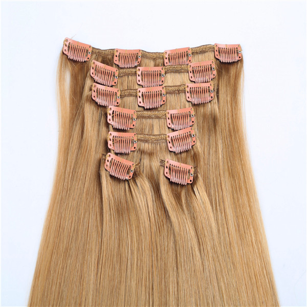 Hot sale cheap human hair long life time clip in hair extensions WJ031